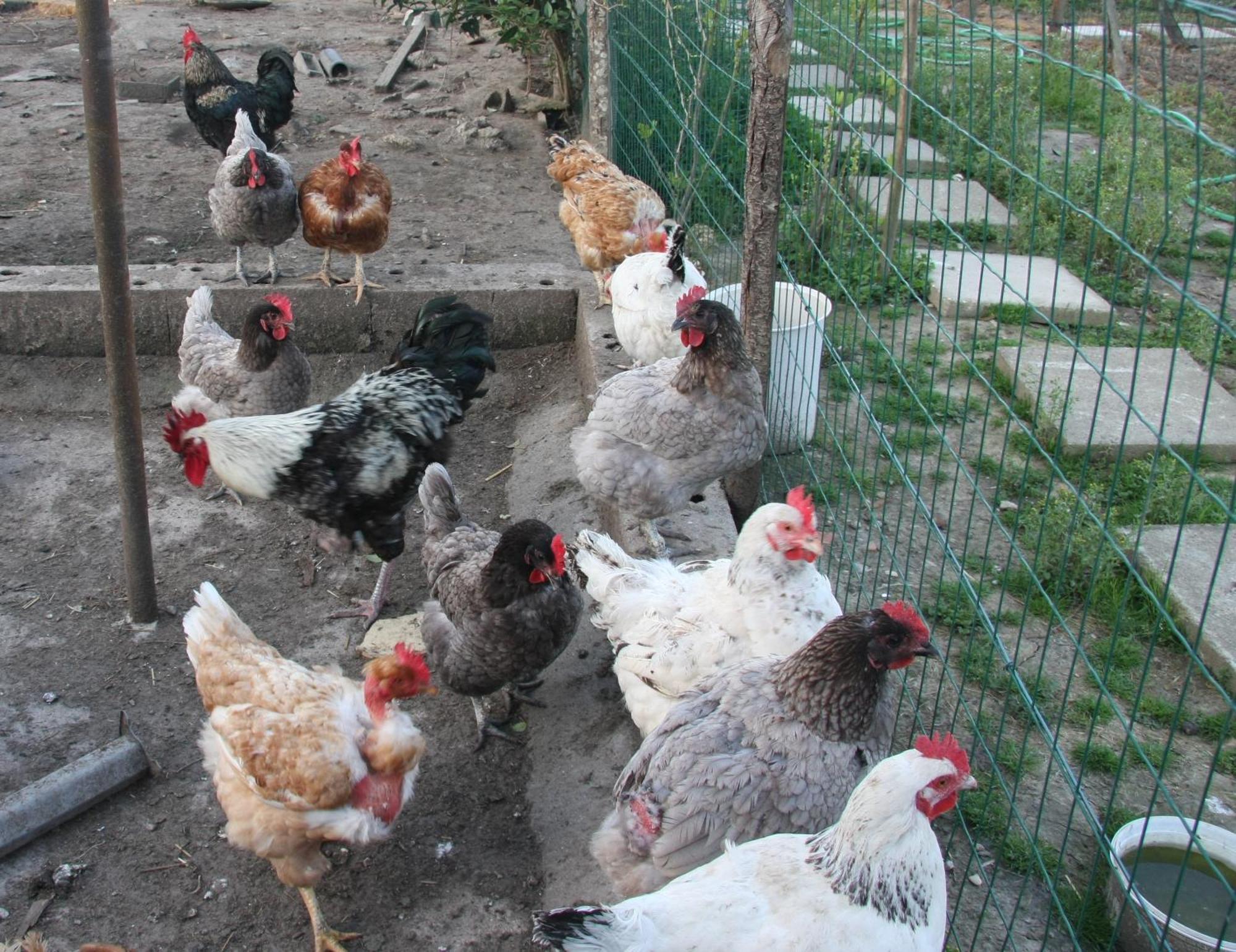 Gite Chez Mamie - 7 Personnes A Sainte Livrade Sur Lot Buitenkant foto